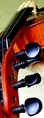 The Bird - tenor violin/hardinger hybrid